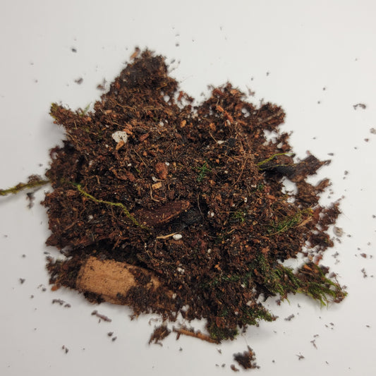 Terrarium Substrate Bio Active, Isopods, Jumping Spiders, Reptiles And More.| 4 quarts/ 1 Gallon | Organic ABG Mix | The Critters Cave