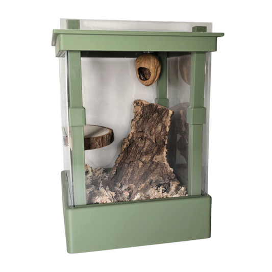 Semi Modular 5x7 Acrylic Enclosure for Jumping Spiders, Mantids, And More. TheCrittersCave