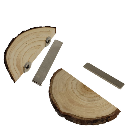 Magnetic Arboreal Ledge |The Critters Cave