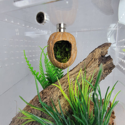 jumping spider hide. walnut hide. arboreal hide. walnut hutt, hide out for jumping spiders. magnetic hide for cage decor enclosures