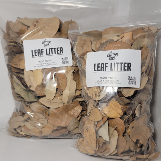 leaf litter bedding for pet enclosures. lizard and frog enclosures. dart frogs. enclosure decor