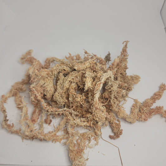 New Zealand Long Fiber Sphagnum Moss | 1Q & 1G | Low Dust | Humid Enclosures | Jumping Spiders | Isopods And Springtails | The Critters Cave