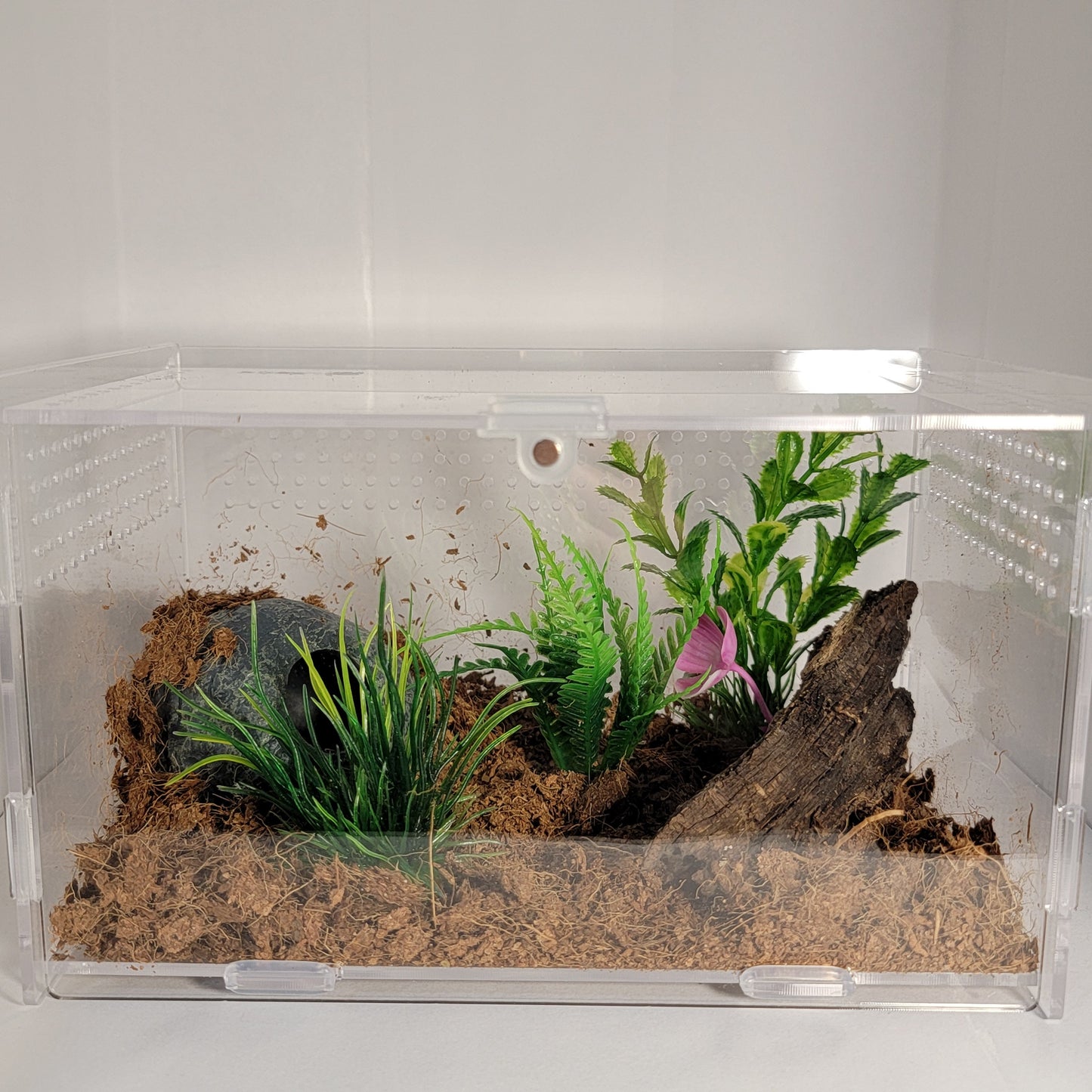 4"x4"x7" Acrylic Enclosure | The Critters Cave