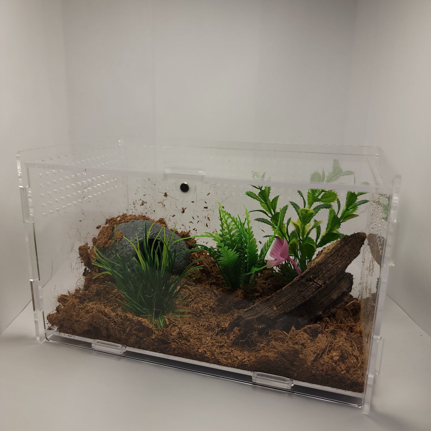 4"x4"x7" Acrylic Enclosure | The Critters Cave