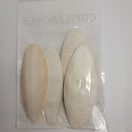 Cuttlebone 5 pack | Food For Hermit Crabs, Isopods, Shrimp, Turtles, Birds. | The Critters Cave