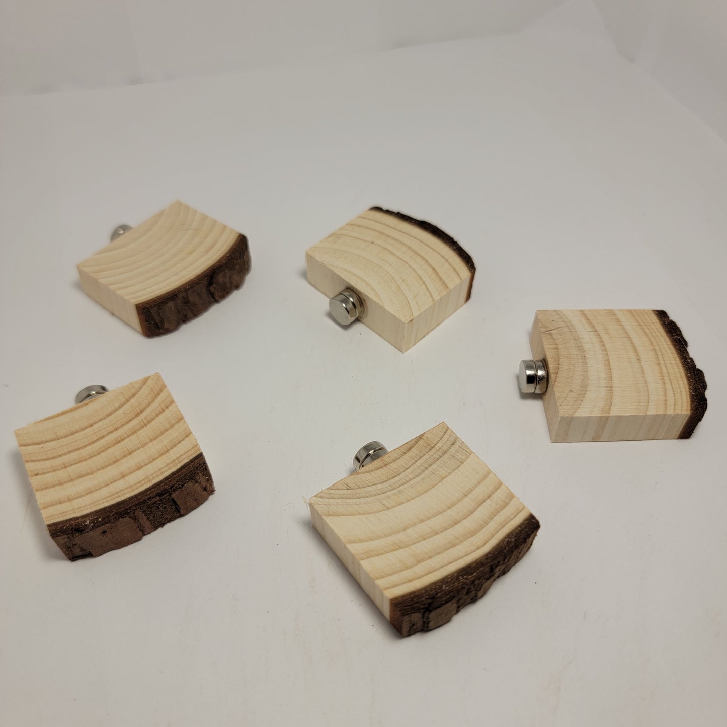 Small Magnetic Arboreal ledges | 4 Pack | Jumping Spider Ledges