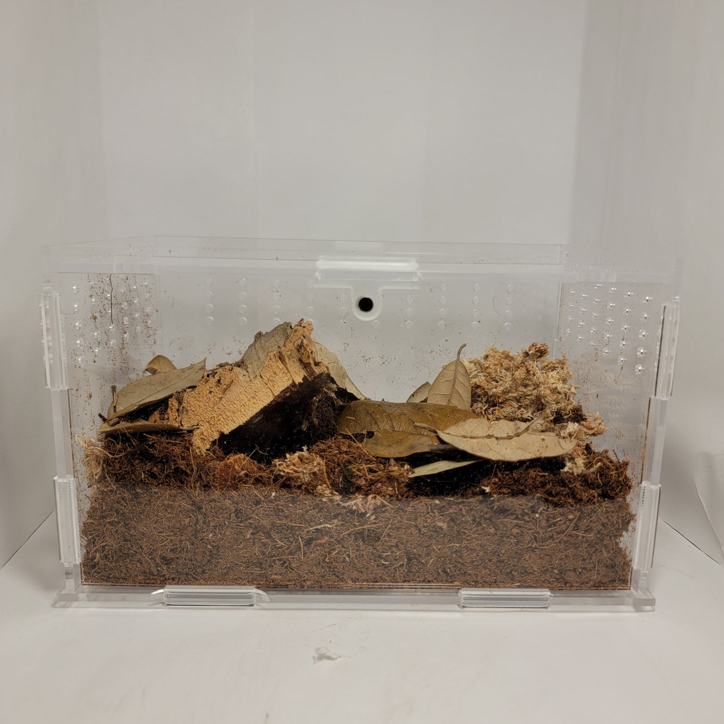 Top Opening Terrestrial Kit | Enclosure Kit For Tarantula | Baby Spiders | Millipede | Centipede | Isopods | The Critters Cave