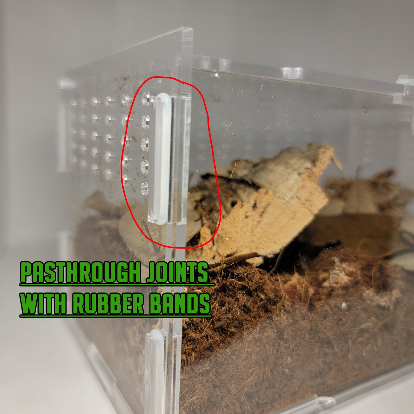 Top Opening Terrestrial Kit | Enclosure Kit For Tarantula | Baby Spiders | Millipede | Centipede | Isopods | The Critters Cave