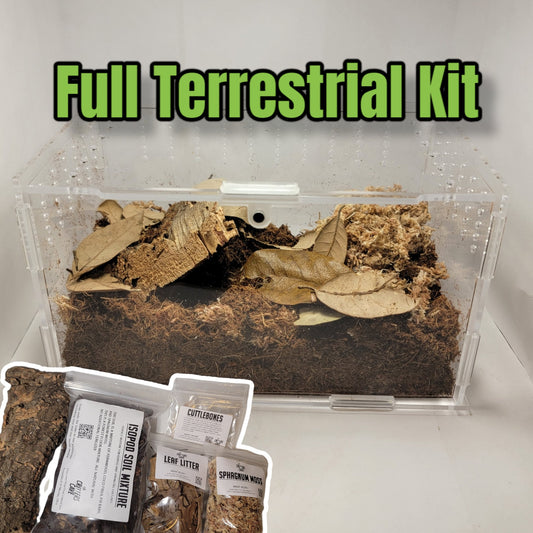 enclosure kit for terrestrial creatures, millepedes, centipedes, jumping spiders, isopods, springtails. full kit. cork bark, soil, leaf litter, sphagnum moss