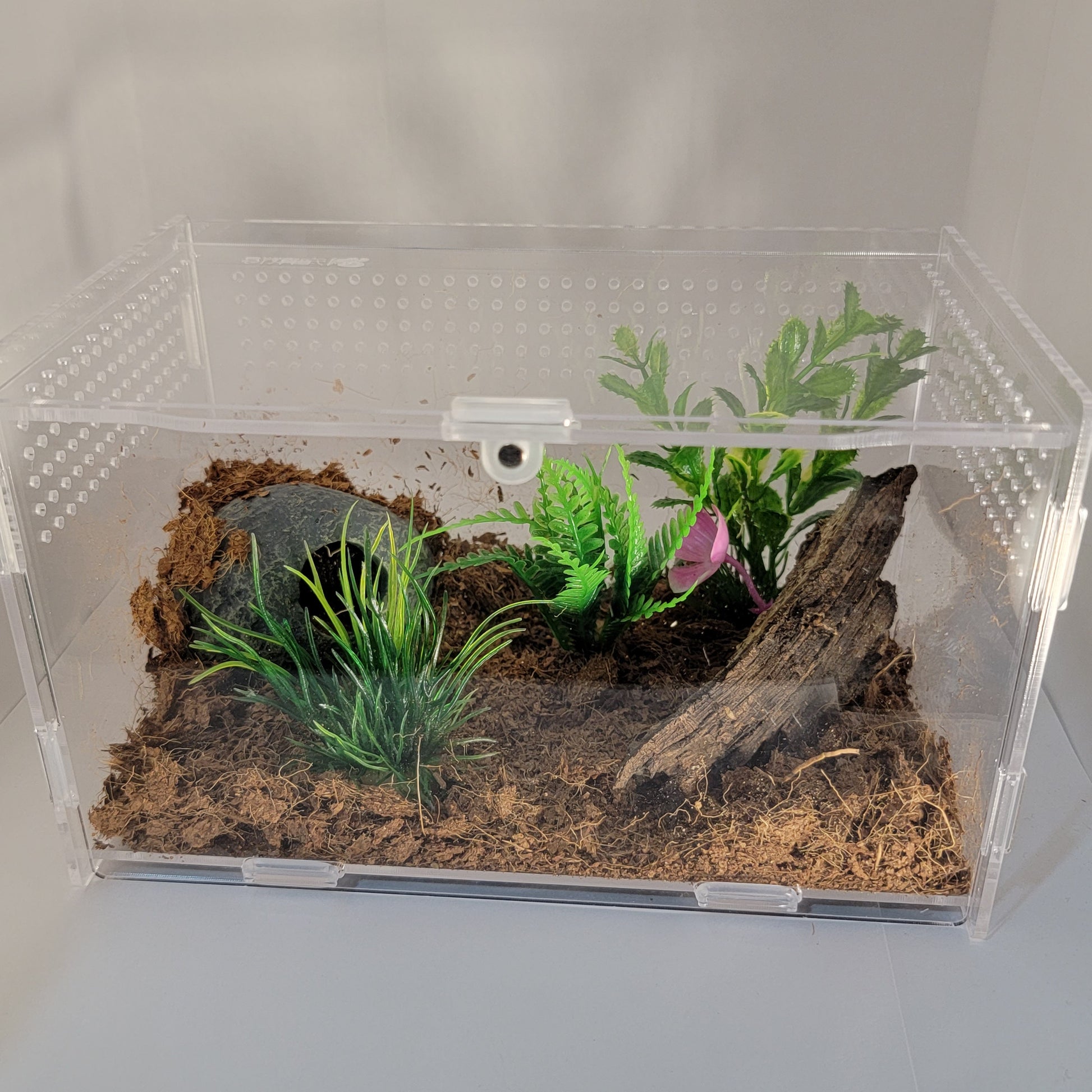 4x4x7 Acrylic Enclosure  The Critters Cave – TheCrittersCave